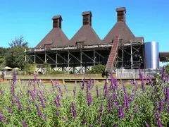 Landmark Vineyards at Hop Kiln Estate