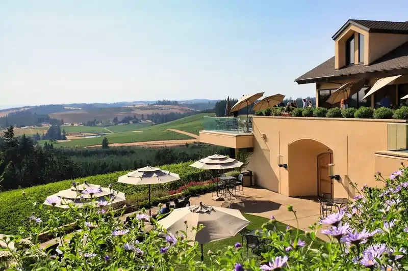 Willamette Valley tasting room and vineyards